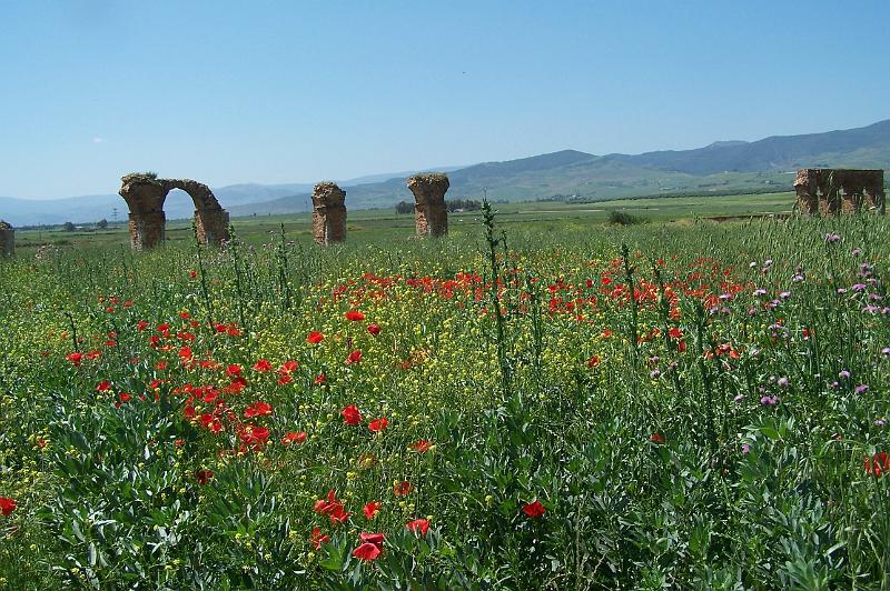 Chemtou (05-2009) 100_6375.jpg